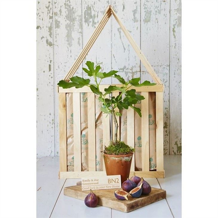 New-Home-Fig-Tree-Gift(001)
